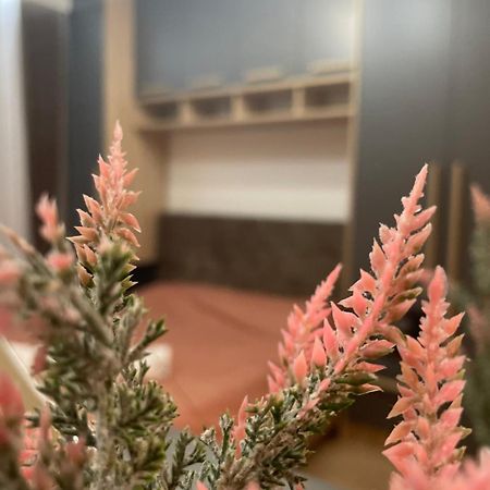 Daf Apartaments プリシュティナ エクステリア 写真